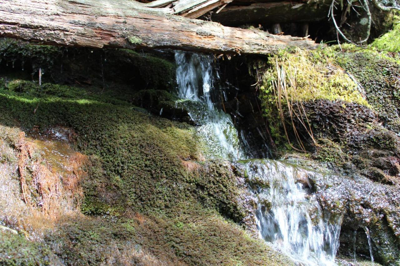 Gorgeous Large Mountain View Cabin W Hot Tub, Free Wifi, Games Villa Sevierville Luaran gambar